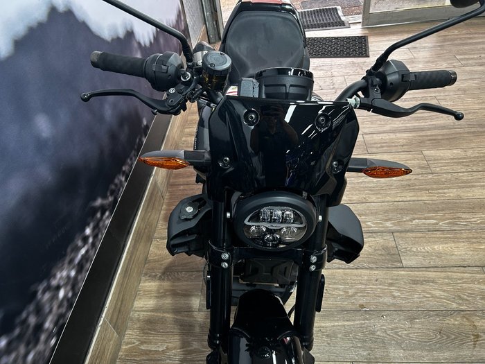 2023 INDIAN FTR SPORT Black