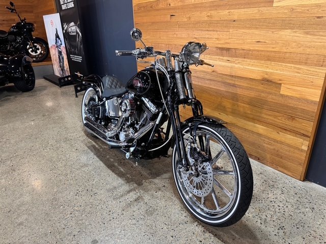 2007 HARLEY-DAVIDSON FXSTC SOFTAIL CUSTOM