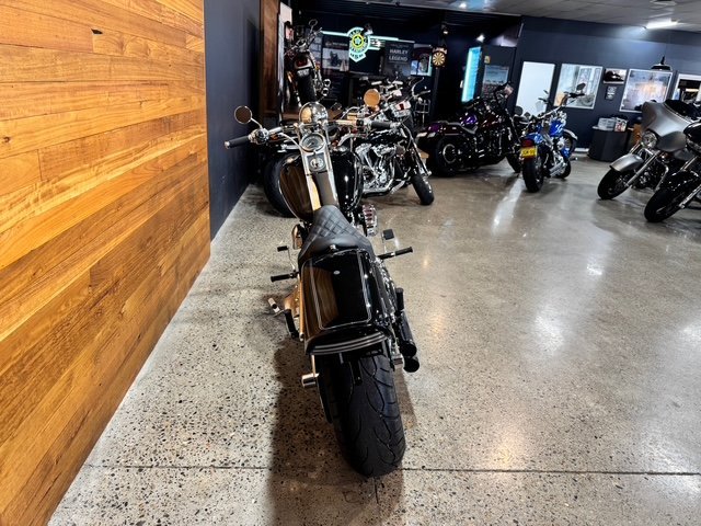 2007 HARLEY-DAVIDSON FXSTC SOFTAIL CUSTOM