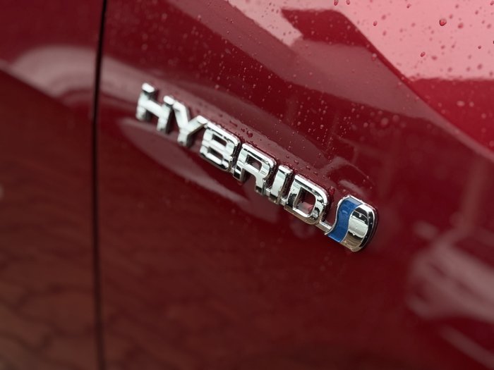 2023 Toyota RAV4 Cruiser