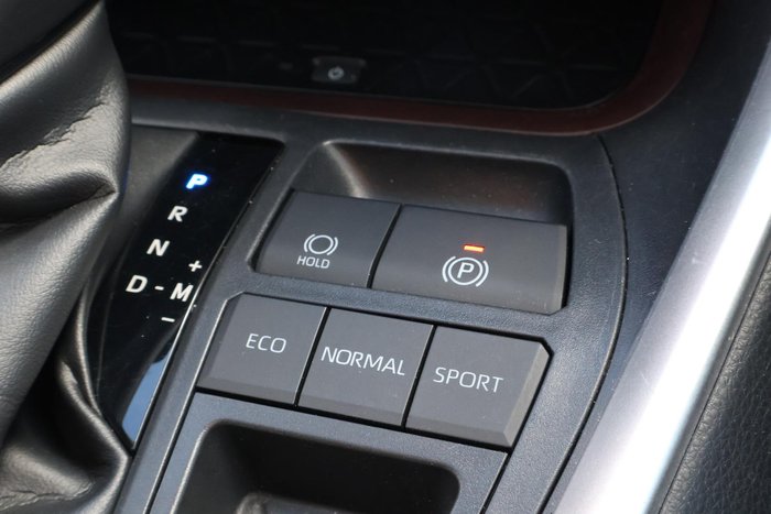 2020 Toyota RAV4 Cruiser