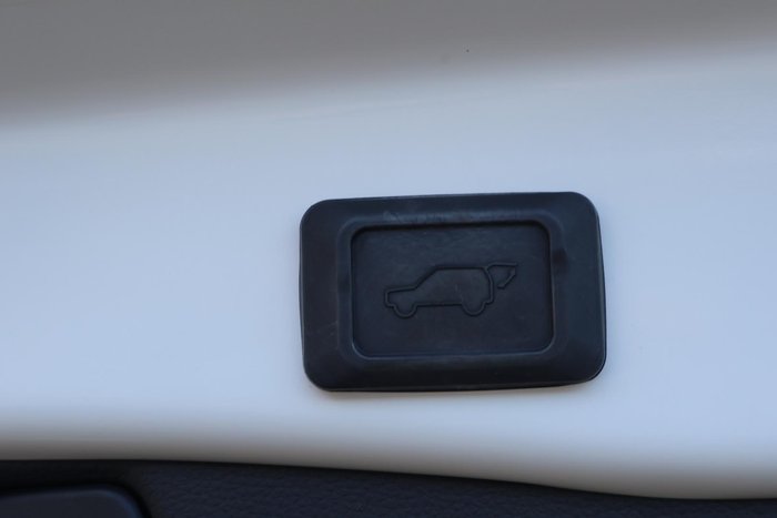 2020 Toyota RAV4 Cruiser