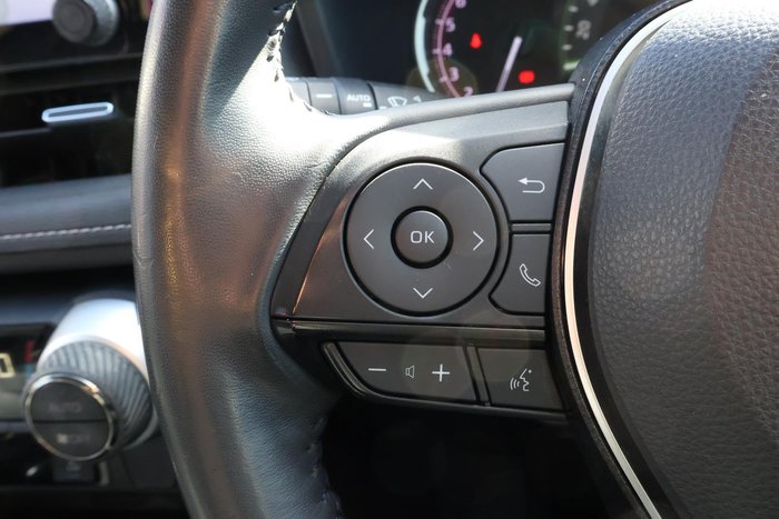 2020 Toyota RAV4 Cruiser