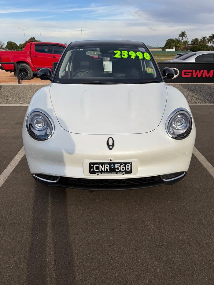 2025 GWM Ora Standard Range