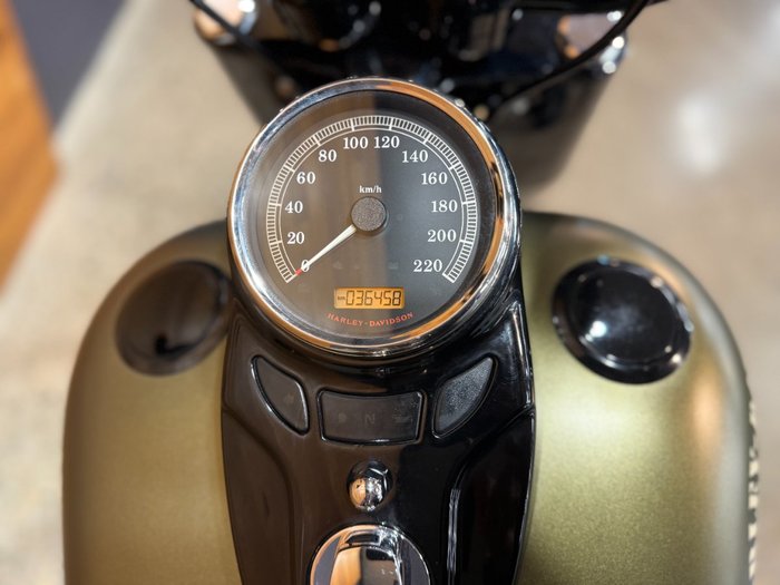 2017 HARLEY-DAVIDSON FLSS SOFTAIL SLIM S