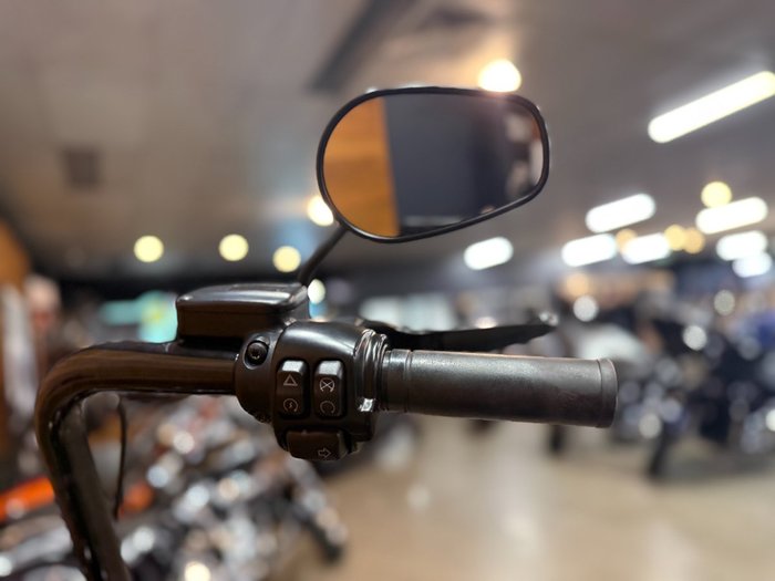 2017 HARLEY-DAVIDSON FLSS SOFTAIL SLIM S
