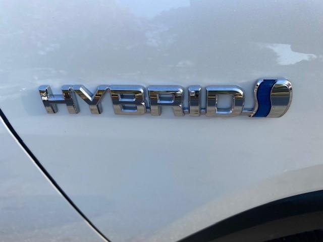 2019 Toyota RAV4 Cruiser