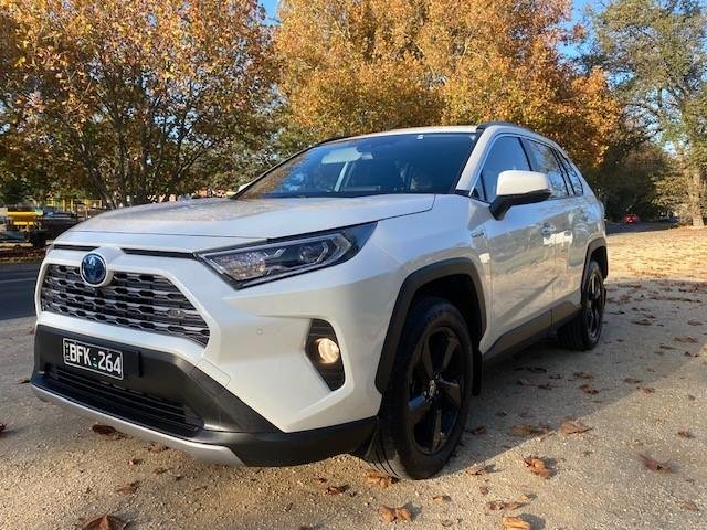 2019 Toyota RAV4 Cruiser