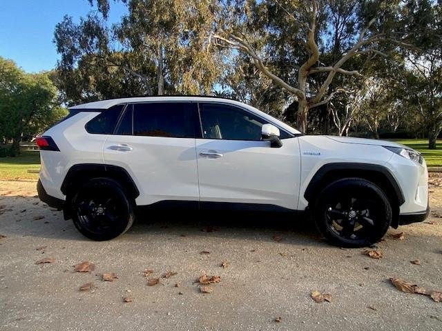 2019 Toyota RAV4 Cruiser