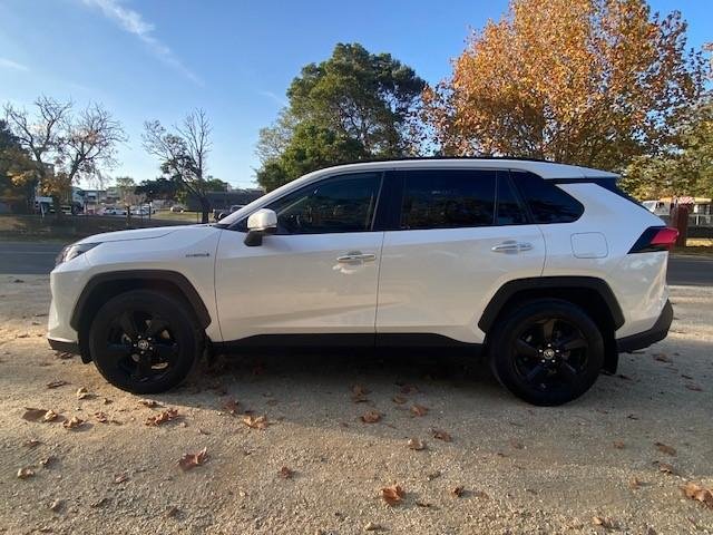 2019 Toyota RAV4 Cruiser