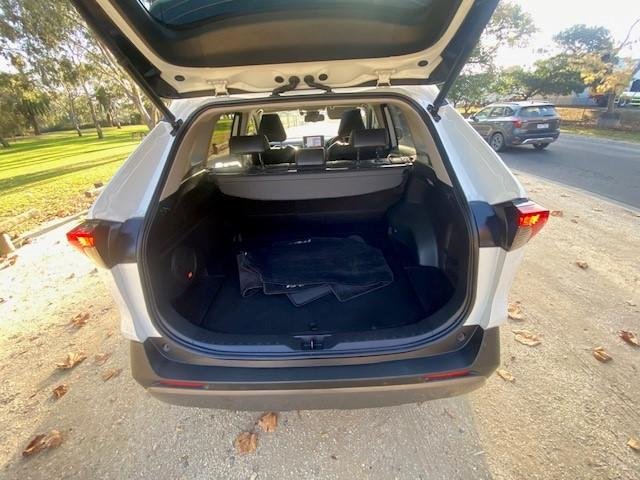 2019 Toyota RAV4 Cruiser