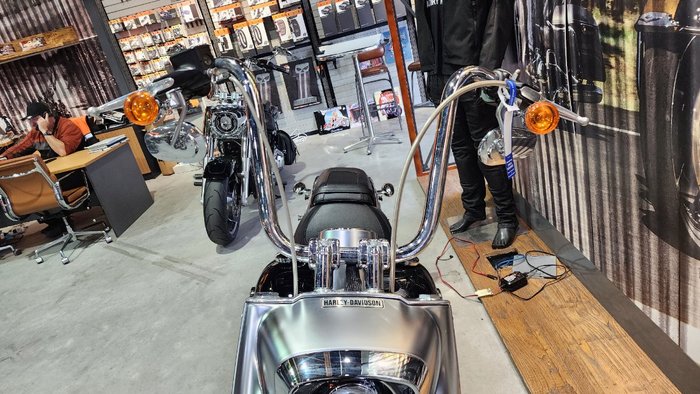 2019 HARLEY-DAVIDSON FLFBS FAT BOY S (114)