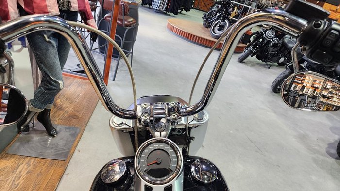 2019 HARLEY-DAVIDSON FLFBS FAT BOY S (114)