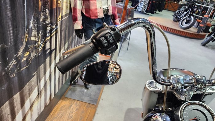 2019 HARLEY-DAVIDSON FLFBS FAT BOY S (114)