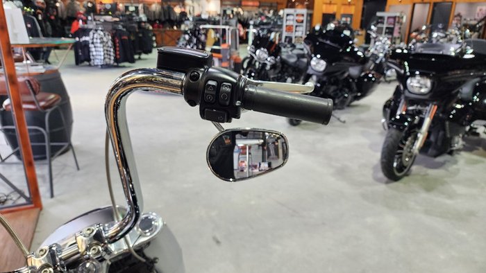 2019 HARLEY-DAVIDSON FLFBS FAT BOY S (114)