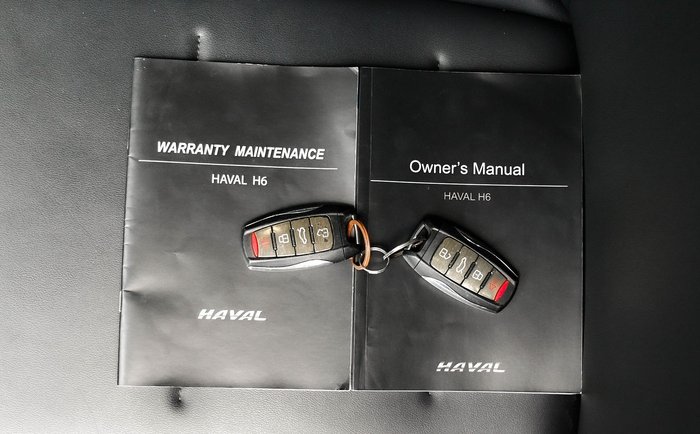 2021 Haval H6 Lux