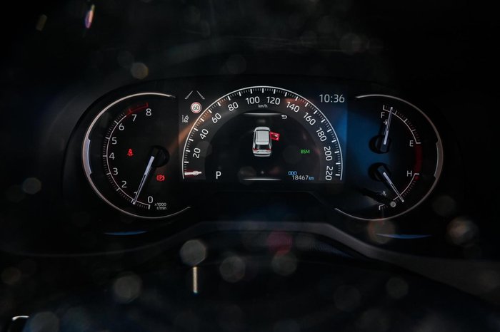 2022 Toyota RAV4 Cruiser
