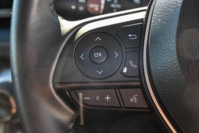 2022 Toyota RAV4 Cruiser
