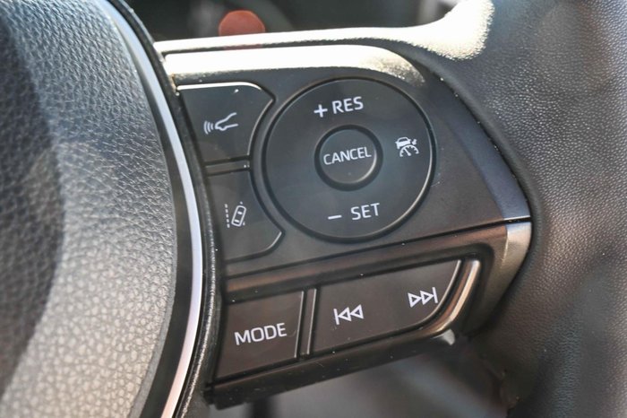 2022 Toyota RAV4 Cruiser