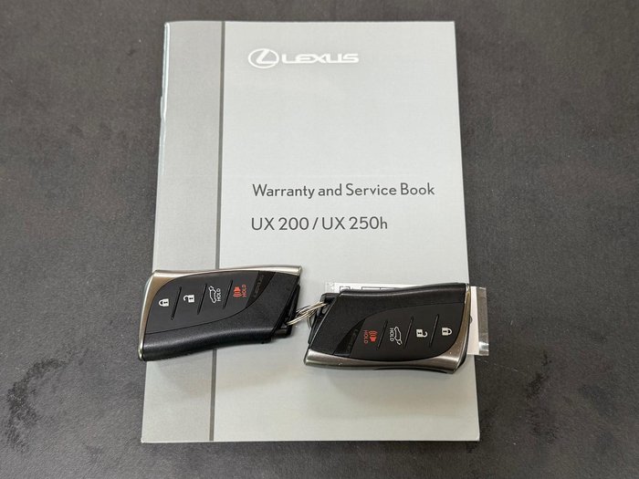 2019 Lexus UX 200 Sport Luxury