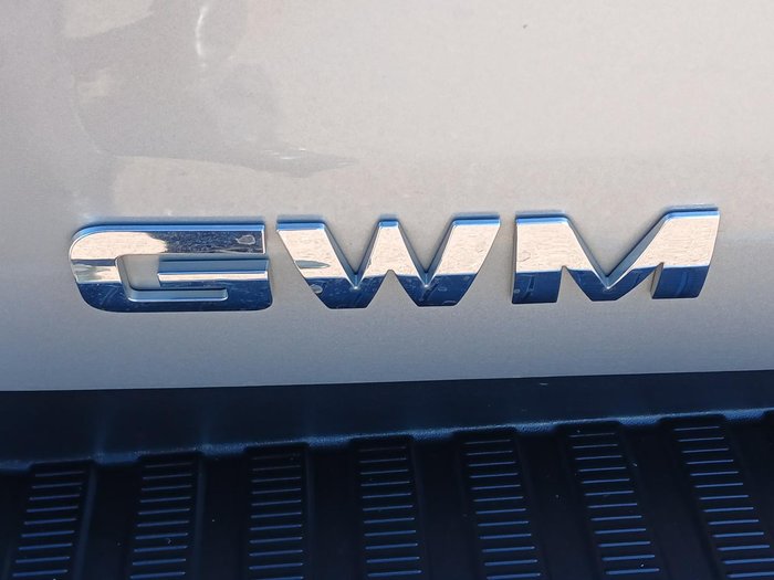 2022 GWM Ute Cannon-X