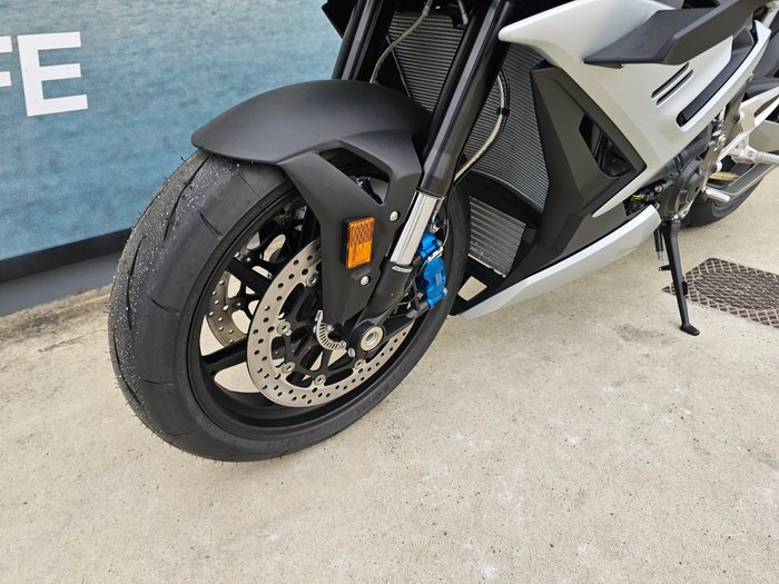 2026 BMW Motorrad M 1000 R Silver