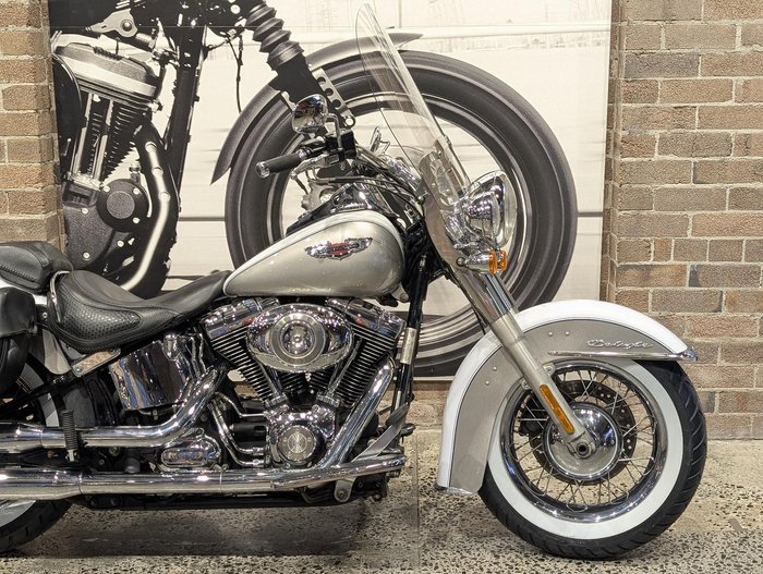 2009 Harley-Davidson Softail Deluxe 1584 (FLSTN)