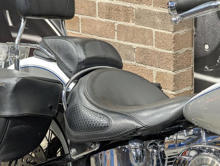 2009 Harley-Davidson Softail Deluxe 1584 (FLSTN) Softail Gold