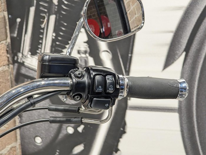 2009 Harley-Davidson Softail Deluxe 1584 (FLSTN) Softail Gold