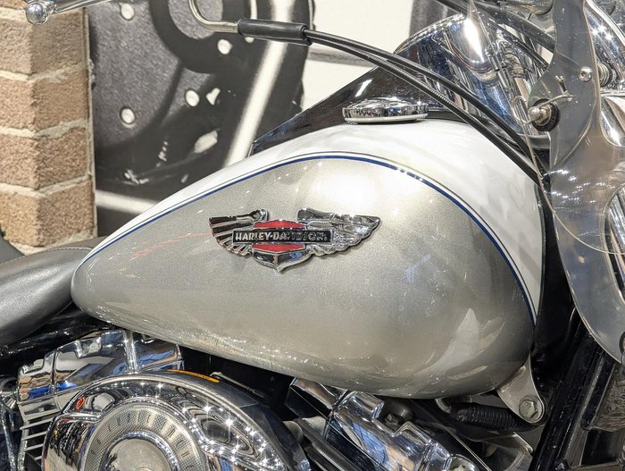 2009 Harley-Davidson Softail Deluxe 1584 (FLSTN) Softail Gold