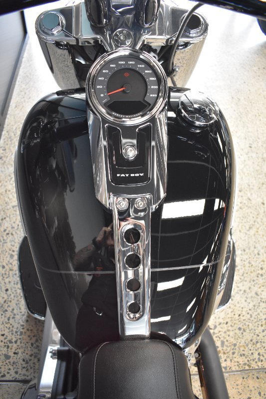 2025 HARLEY-DAVIDSON FLFB FAT BOY (117)