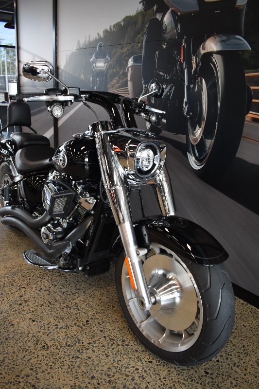 2025 HARLEY-DAVIDSON FLFB FAT BOY (117)