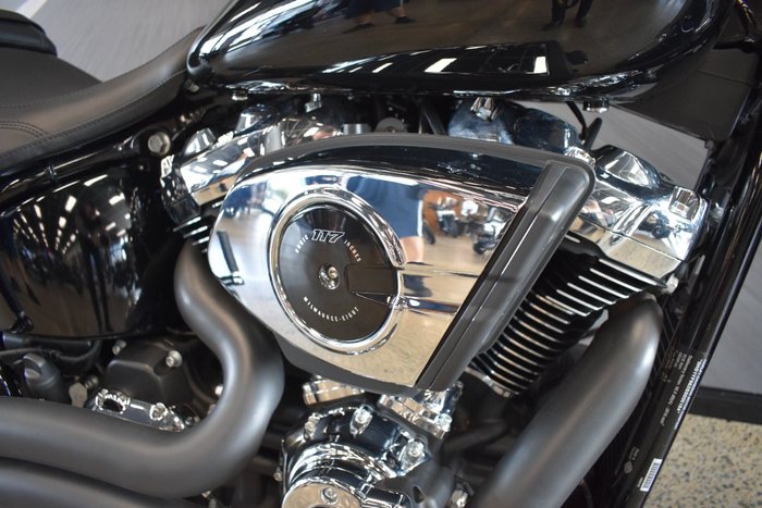 2025 HARLEY-DAVIDSON FLFB FAT BOY (117)