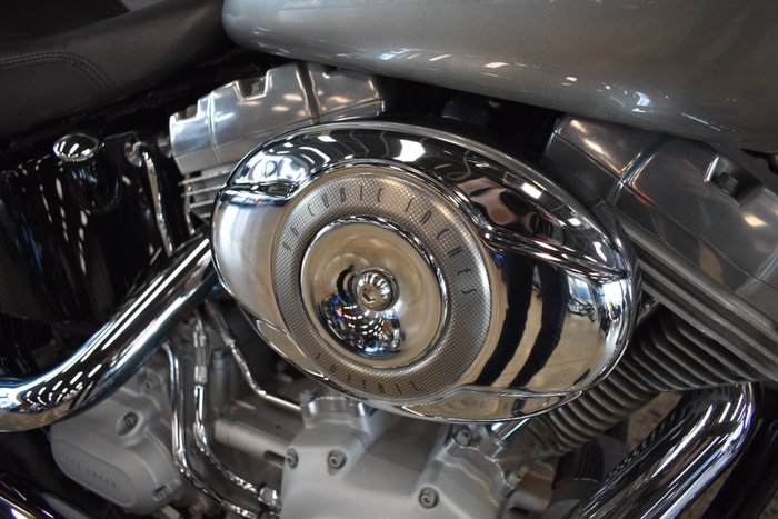 2008 HARLEY-DAVIDSON FXST SOFTAIL STANDARD