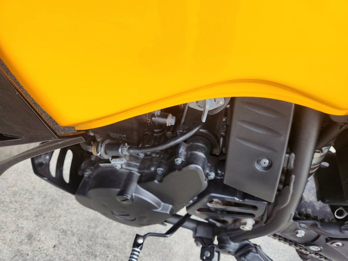 2020 Kawasaki KLR650 (KL650) ORANGE
