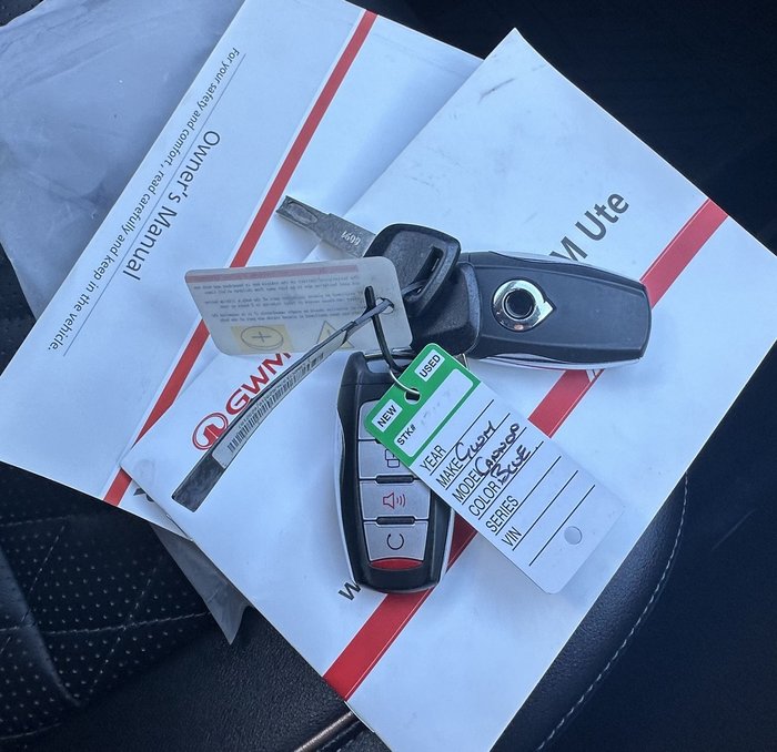 2022 GWM Ute Cannon-X