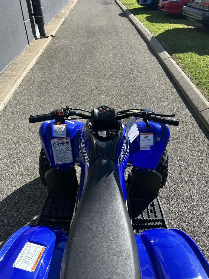 2026 Yamaha Raptor 110 (YFM110R) Raptor Blue