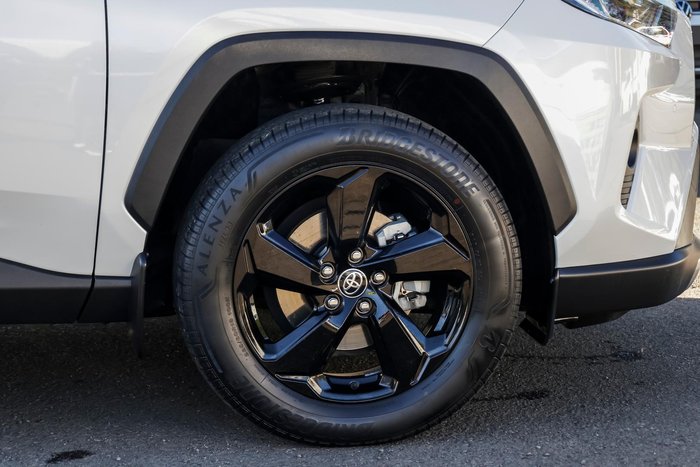2019 Toyota RAV4 Cruiser