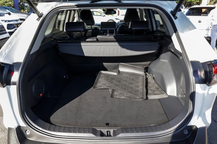 2019 Toyota RAV4 Cruiser