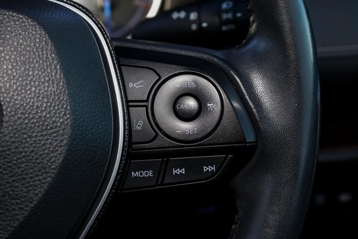2019 Toyota RAV4 Cruiser