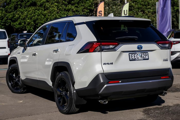 2019 Toyota RAV4 Cruiser
