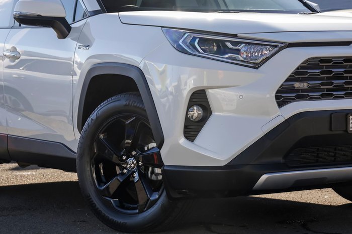 2019 Toyota RAV4 Cruiser