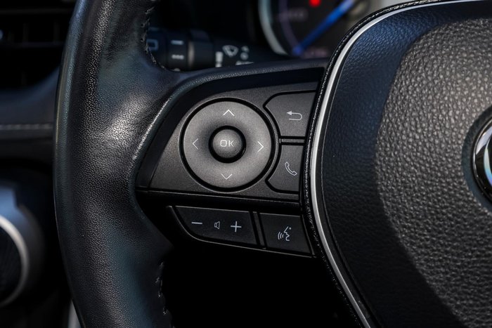 2019 Toyota RAV4 Cruiser