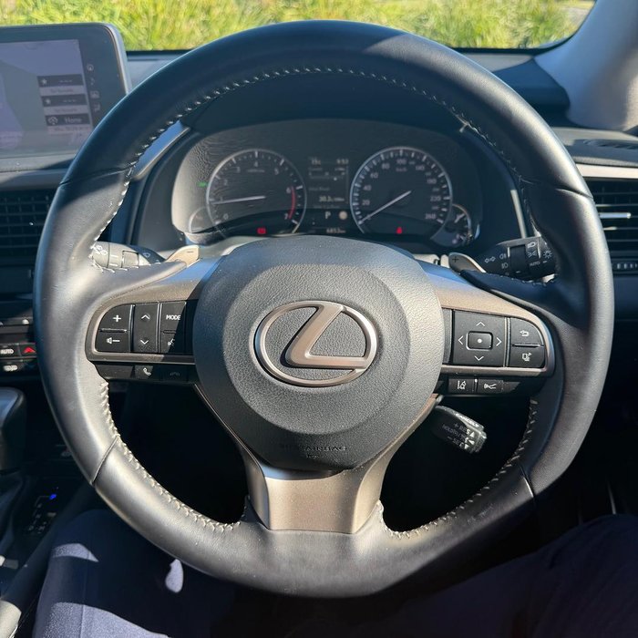 2021 Lexus RX 300 Luxury