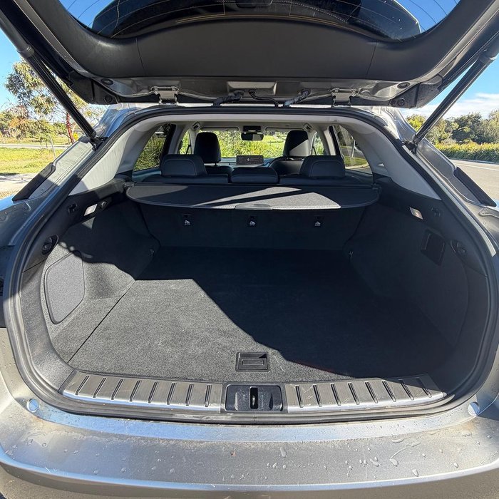2021 Lexus RX 300 Luxury