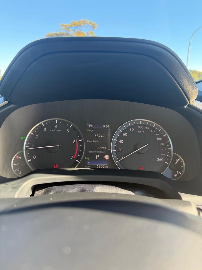 2021 Lexus RX 300 Luxury