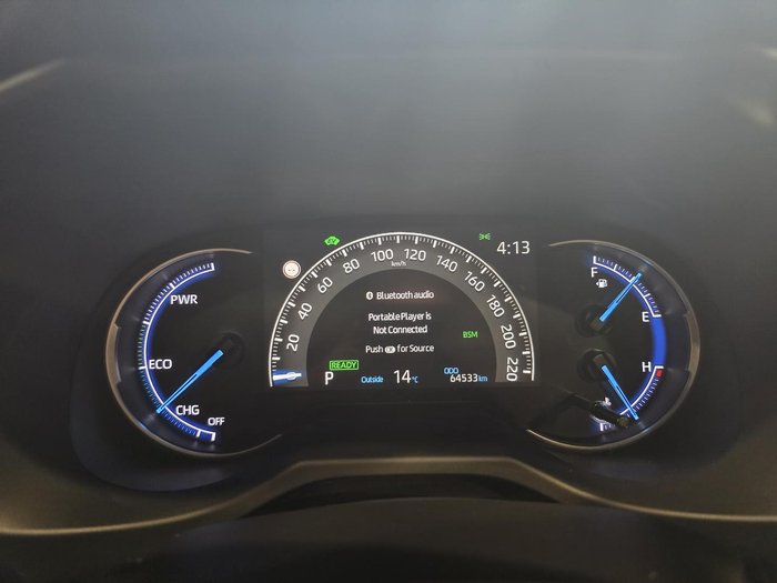 2019 Toyota RAV4 Cruiser
