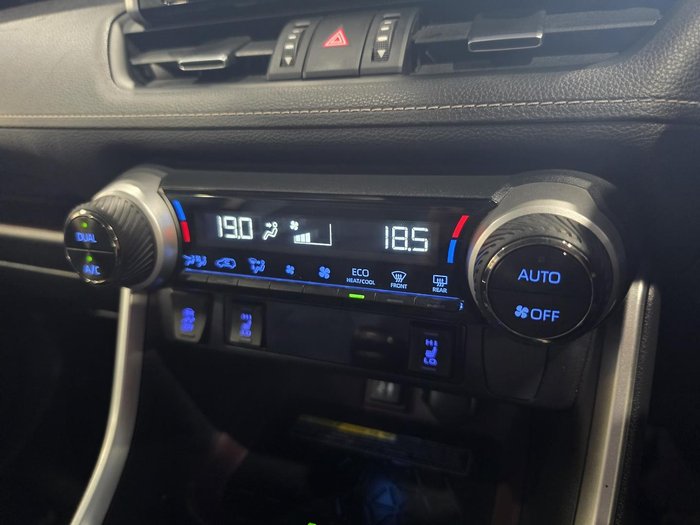 2019 Toyota RAV4 Cruiser