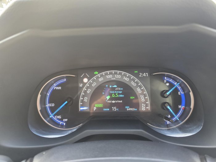 2019 Toyota RAV4 Cruiser