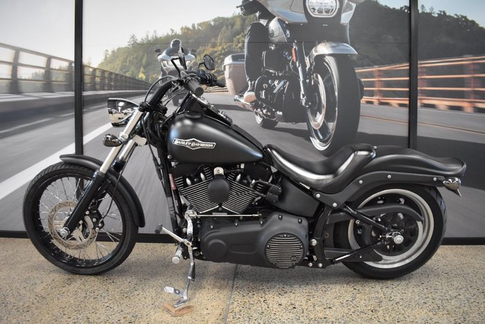 2007 HARLEY-DAVIDSON FXSTB NIGHT TRAIN